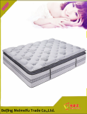 mattress and sleep company